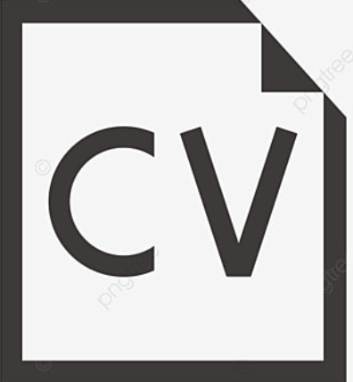 cv icon